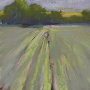 Looking Up by Ginny Burdick