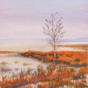 Silent Sunrise by Ginny Burdick