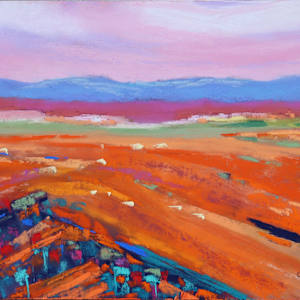 Superbloom Carrizo Plains by Ginny Burdick