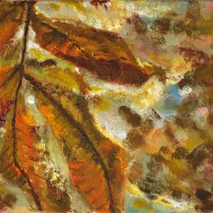 Translucent Leaves by Jennifer Gorman-Strawbridge