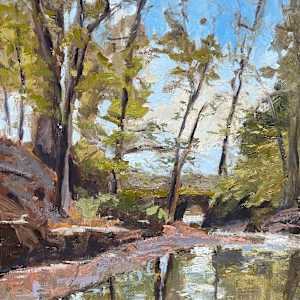 Little Nishisakawick Creek by Jennifer Gorman-Strawbridge, Image 1.