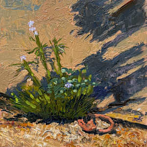 Blue Stars by Jennifer Gorman-Strawbridge, Image 1.