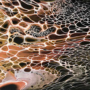 Black Lace by Martin Relton