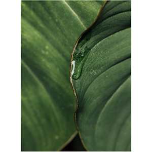 Infatuated by Christine Alward