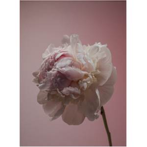 Everyone Loves a Millennial by Christine Alward