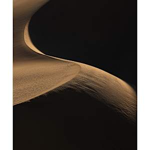 Swanky by Christine Alward