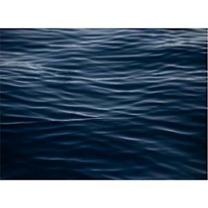 Whale Song by Christine Alward