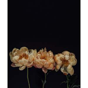 Hey Sis by Christine Alward