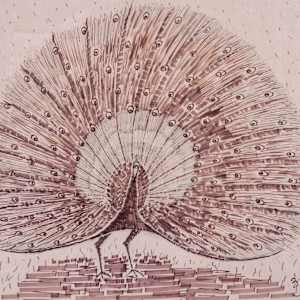 Red Peacock by Aditya Prakash (1924-2008)
