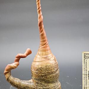 Big Shino Mug by JOHN GOOD 