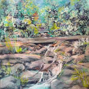 Atlanta Botanical Garden Waterfall by Barbara Wentzell Jaquith, Image 1.