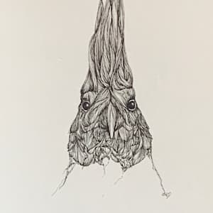 Cardinal by Barbara Wentzell Jaquith