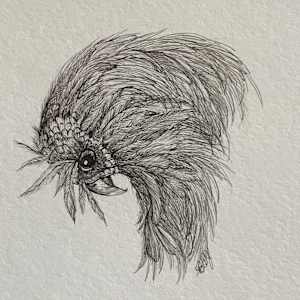 Ready by Barbara Wentzell Jaquith