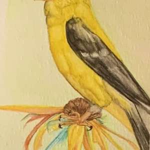 Goldfinch by Barbara Wentzell Jaquith