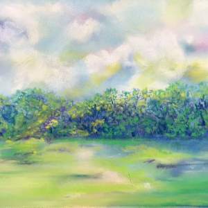 Meadow at Zonolite by Barbara Wentzell Jaquith