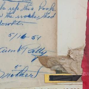 Letters to Olga: 4 by Mark Andrew Child