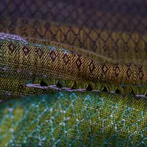 Yggdrasill by Lucie Šťastná 