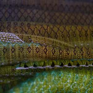 Yggdrasill by Lucie Šťastná 