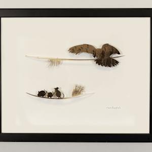 Hover by Chris Maynard