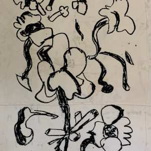 Irises by andrew alba