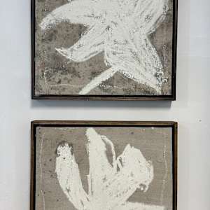 Daffodils by andrew alba, Image 1.