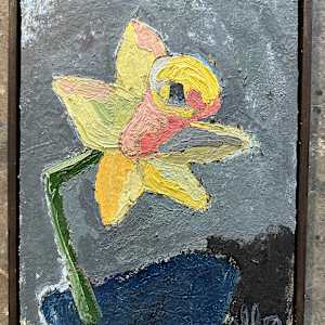 Daffodil by andrew alba