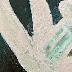 Pink Daffodil by andrew alba 