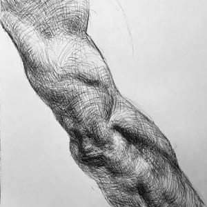 Arm Study 1, Andrea Morani by Michael Newberry