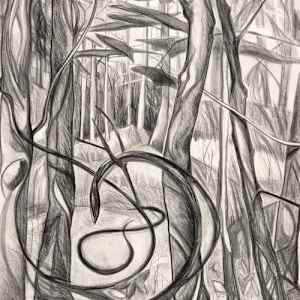 WOODS DWELLER by Phyllis Bryce Ely