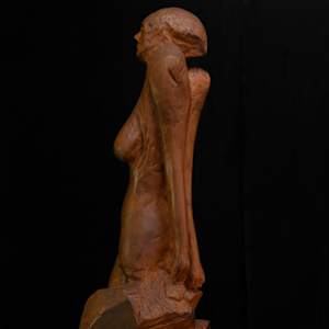 Drooping Lady by David Puustinen 