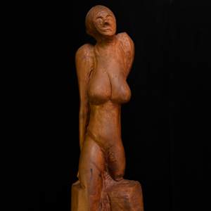 Drooping Lady by David Puustinen 