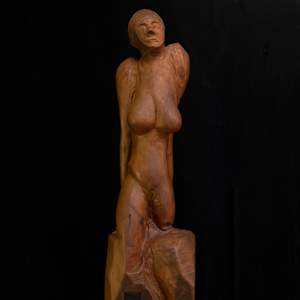 Drooping Lady by David Puustinen 