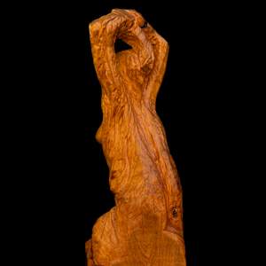 Dryad by David Puustinen 