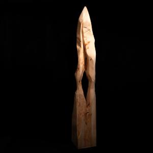 ‘Wings' by David Puustinen, Image 1.