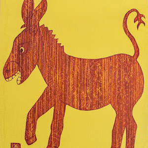 Eastcape Donkey by Francois Paris
