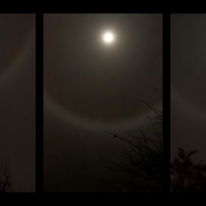 Moon Ring Triptych, 12/26/2020 by Kimberley Campisano