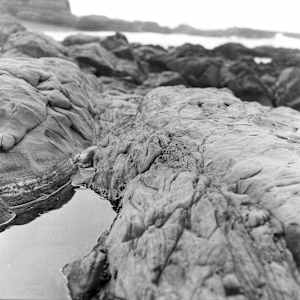 Wetness by Sarah Grimm