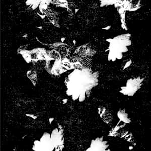 Rosa's by Jannett Perez