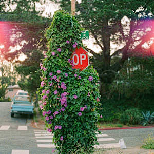 Stop at Wisconsin Street by Julian Marin