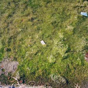 Lake Merritt Water by Julian Marin