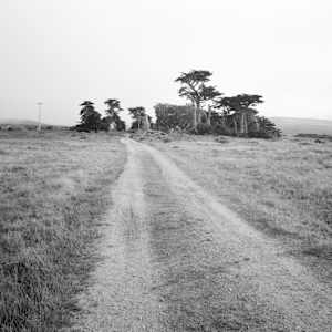 Point Reyes National Seashore, CA by Justin Wilson
