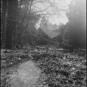 Williams, AZ Cemetery, 199 days after Chelsea was there by Sarah McCarthy Grimm