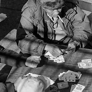 An Afternoon of Cards by Steve Baum