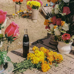 Membranza (Remembrance) by Viridiana