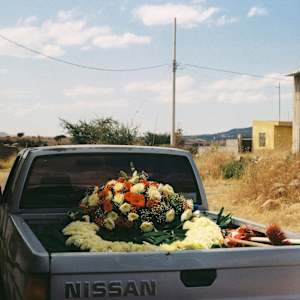 El Periplo (Voyage) by Viridiana