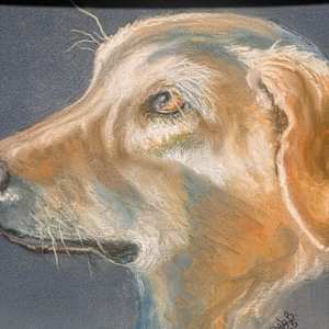 Isabel by Deb Braughler