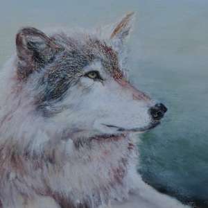 Catoctin Wolf - Keeping Watch by Nicole Kinzel