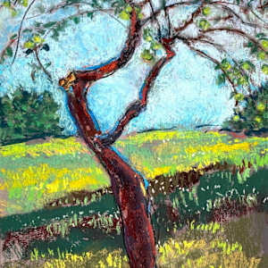 Apple Tree by Susan Due Pearcy