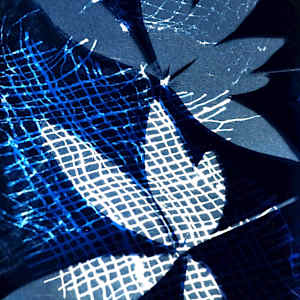 Looking Glass 3 by Sri Thumati