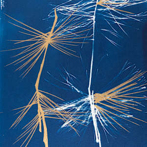 Minimalist 1 by Sri Thumati